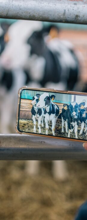 les reseaux sociaux en agriculture a la ferme agricole